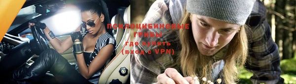 MESCALINE Вяземский