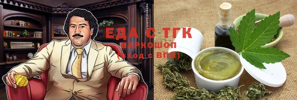 гашик Горняк
