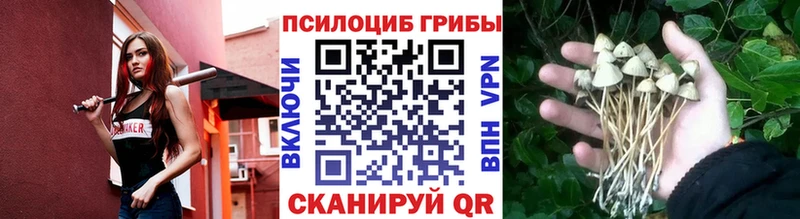 ОМГ ОМГ маркетплейс Дзержинский Псилоцибиновые грибы Psilocybe это формула как найти закладки